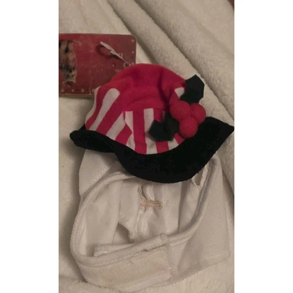 Christmas Dog Hat